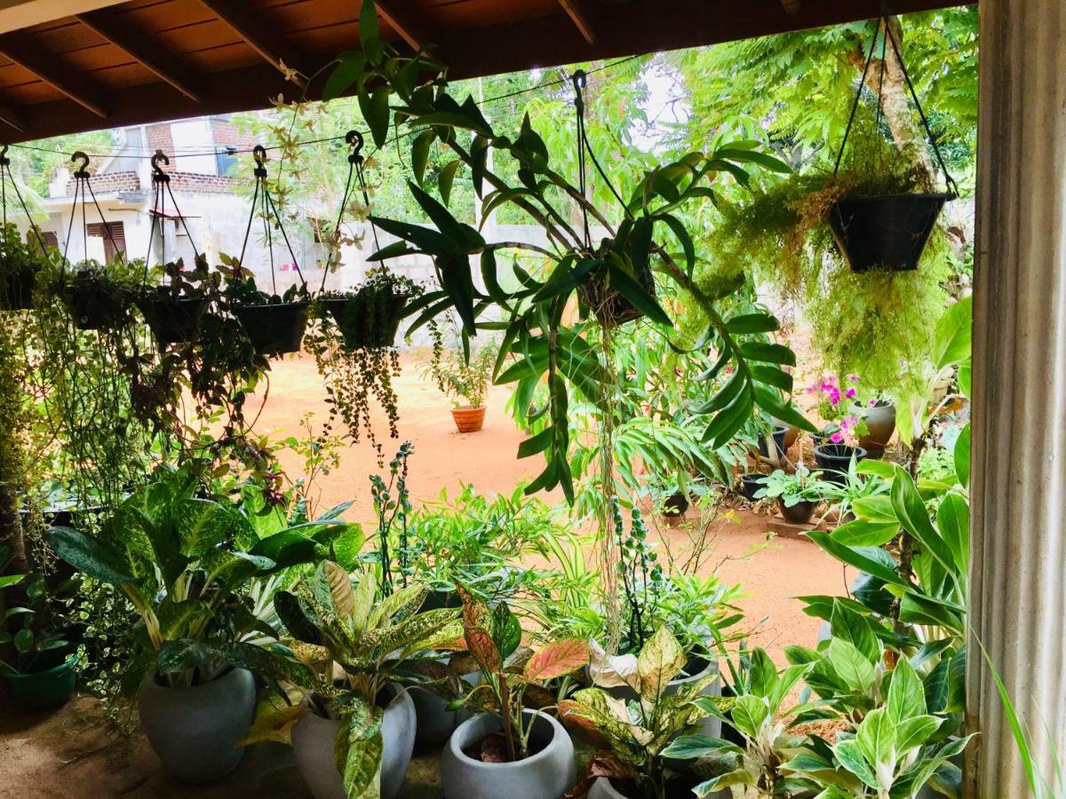 Sweet Home Tourist Rest, Cooking Classes & Tours Holambra Exterior foto